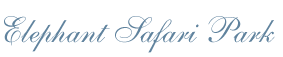 Bali Weddings - wedding at Elephant Safari Park Cultural Commitment