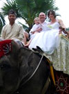 Bali Weddings -  Elephant Park, Taro