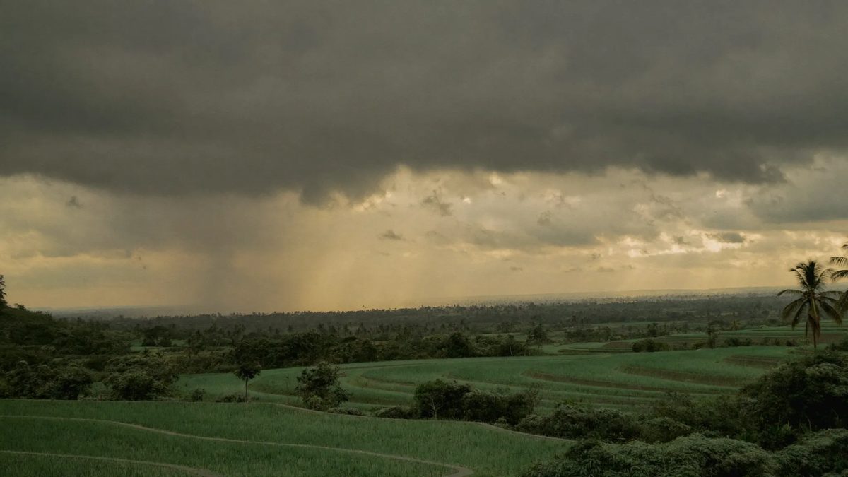 Rainy Season Backup Plans: How to Weather-Proof Your Bali Wedding Day