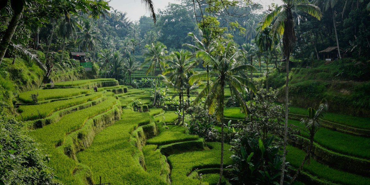 Ubud vs Seminyak: Which Bali Location is Right for Your Wedding?